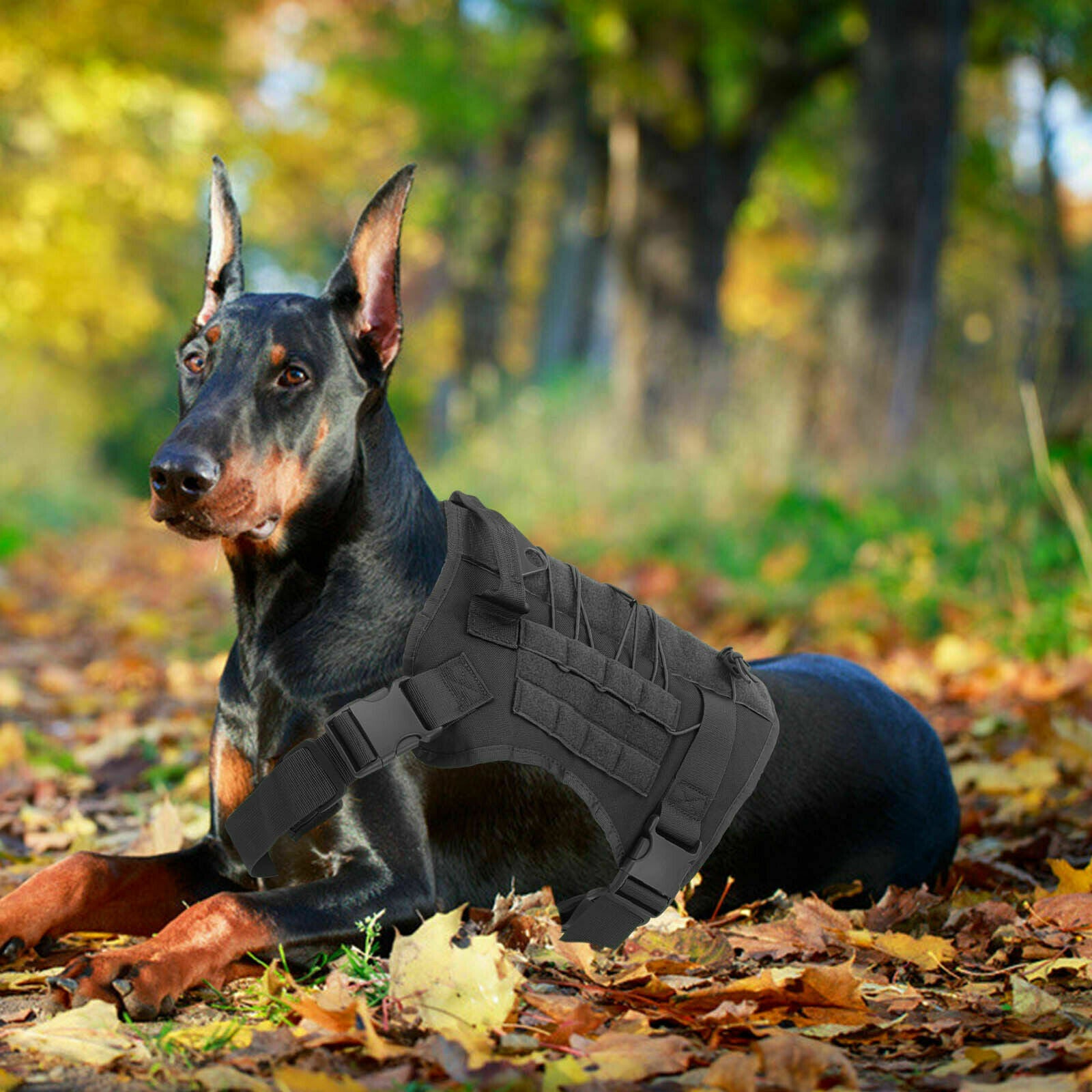 Elite No-Pull Tactical Dog Harness