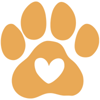 Curated Pet Luxury