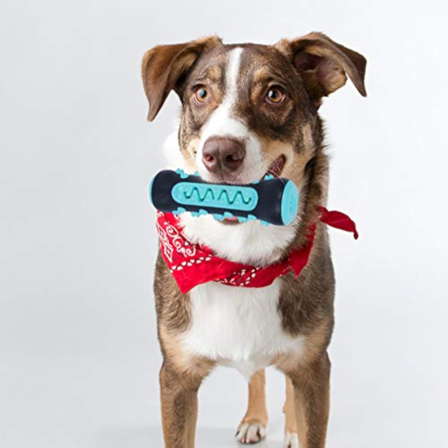 Dental Care Chew Stick Toy