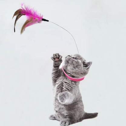 Zowo Pet Cat Collar Feather Teaser Toy