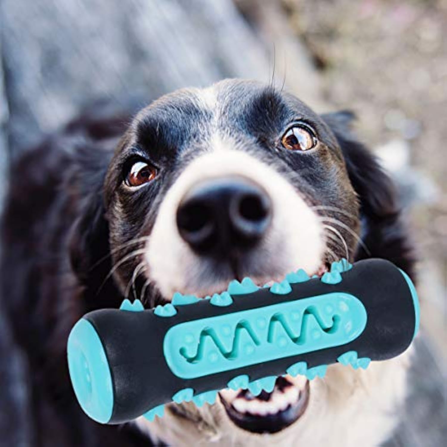Dental Care Chew Stick Toy