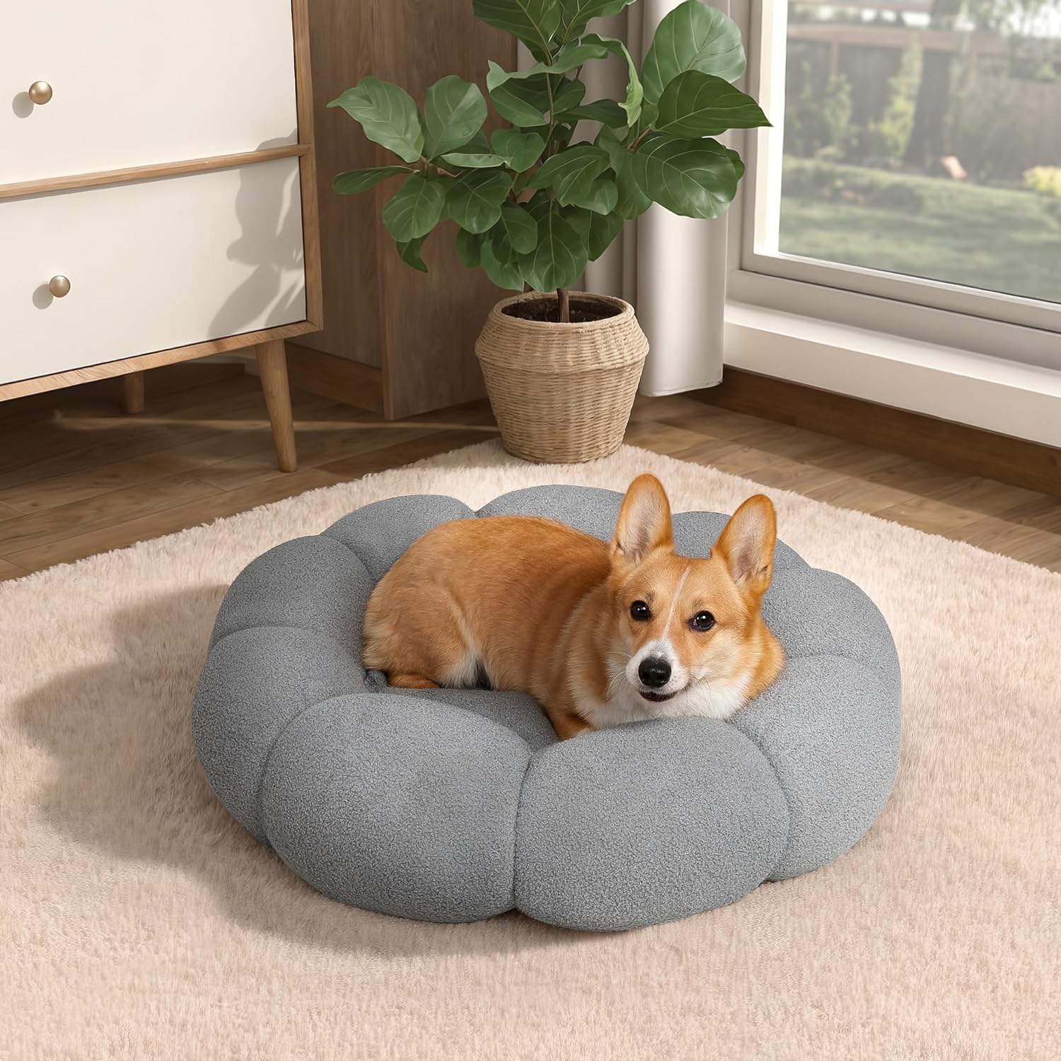 Blossom Donut Calming Pet Bed