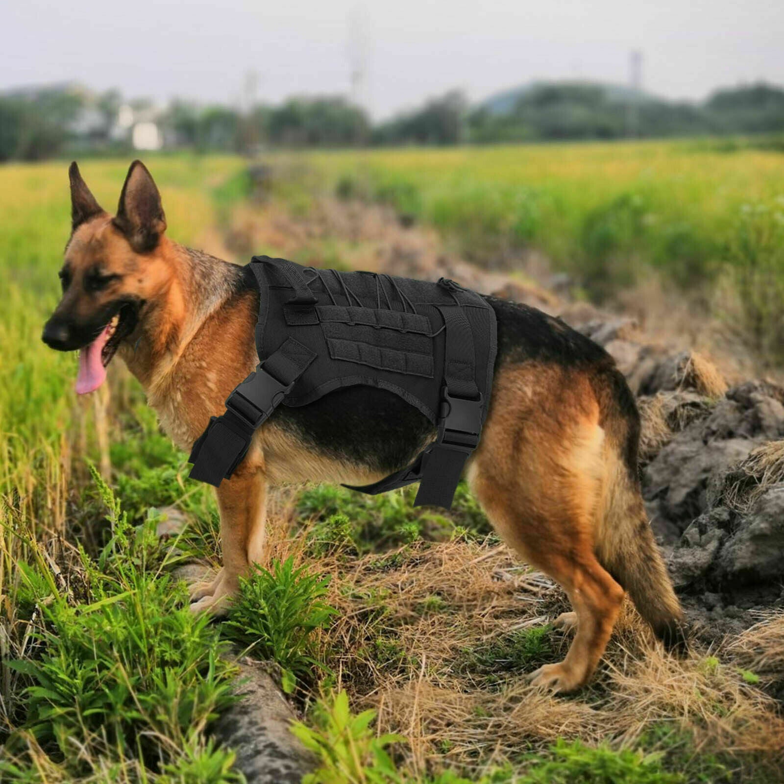 Elite No-Pull Tactical Dog Harness