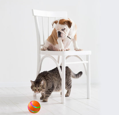 Zowo Pet Automatic Rolling LED Cat Ball
