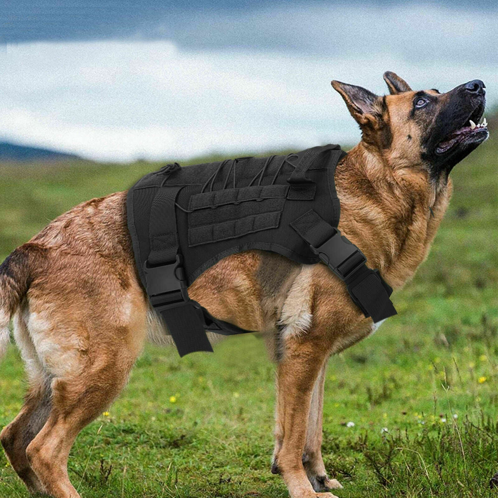 Elite No-Pull Tactical Dog Harness