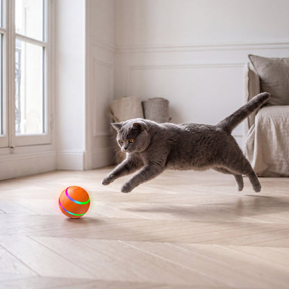Zowo Pet Automatic Rolling LED Cat Ball