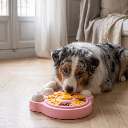 Zowo Pet Interactive Dog Puzzle Slow Feeder