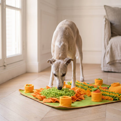 Zowo Pet Large Snuffle Mat For Dogs