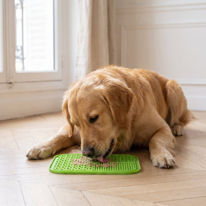 Zowo Pet Silicone Dog Lick Mat Set